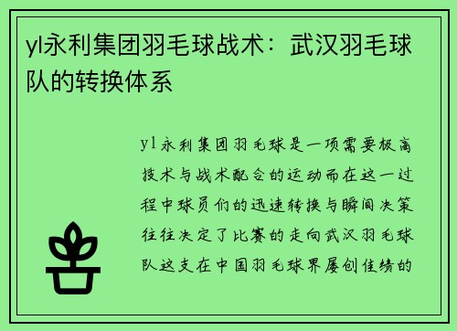 yl永利集团羽毛球战术：武汉羽毛球队的转换体系